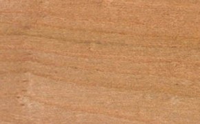 elm timber sample from english woodlands timber