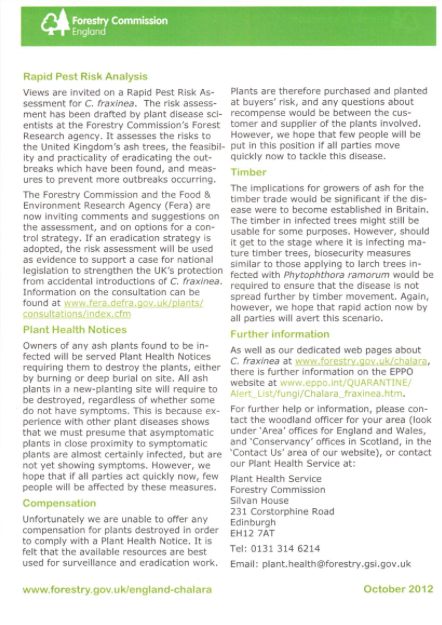 foresttry commission ash report