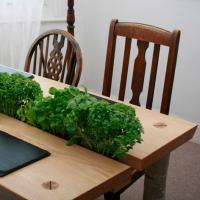 forge creative herb-dining-table-garden-plants-centre-wood-furniture