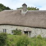 rose of jericho lime plaster restoration