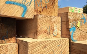 structural oak beam stock customer cut fresh sawn green for timber framing