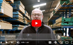 tom explains wood knowledge video how pippy oak is formed in the oak tree